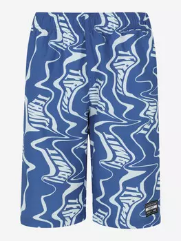 Шорты плавательные для мальчиков Termit, Синий