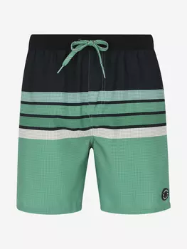 Шорты плавательные мужские Protest Avik, Зеленый