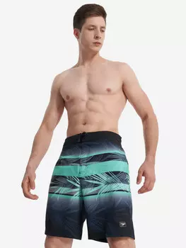 Шорты плавательные мужские Speedo, Черный