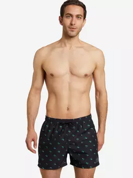 Шорты плавательные мужские Speedo, Черный