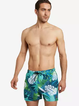 Шорты плавательные мужские Speedo, Голубой