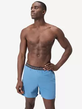 Шорты плавательные мужские Speedo Hyperboom, Синий