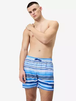 Шорты плавательные мужские Speedo, Синий