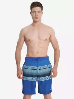 Шорты плавательные мужские Speedo, Синий