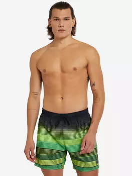Шорты плавательные Speedo Print Leis, Черный