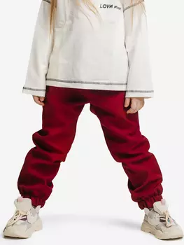 Штаны непромокаемые демисезонные Sherysheff В25277 Бордовый, Красный