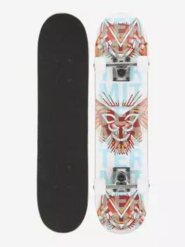 Скейтборд Termit 200 27.2", Мультицвет