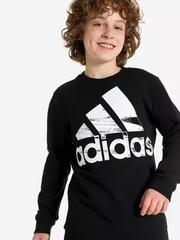 Свитшот для мальчиков adidas Logo, Черный, размер 176