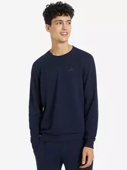 Свитшот мужской Demix, Синий, размер 46