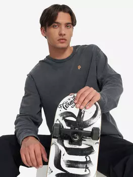 Свитшот мужской Protest, Серый