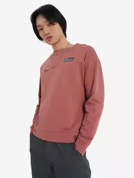 Свитшот мужской Termit, Коричневый