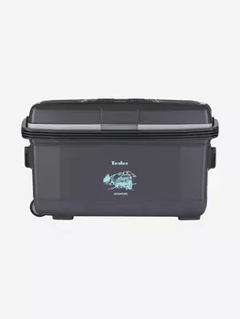 Термоэлектрический автохолодильник TESLER TCF-4512, 45л, Серый