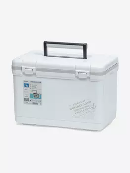 Термобокс SHINWA Holiday Land Cooler 22H белый, Белый