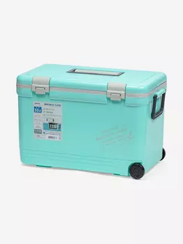 Термобокс SHINWA Holiday Land Cooler 33H синий, Синий