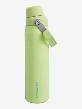 Термокружка Stanley GO Iceflow, 600 мл, цитрон, Желтый