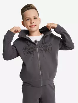 Толстовка для мальчиков Demix, Серый