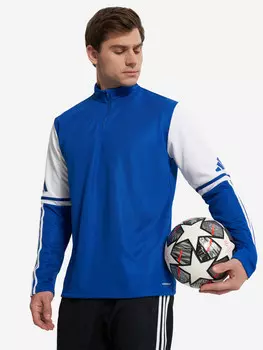 Толстовка мужская adidas Sq25, Синий