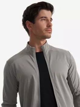 Толстовка мужская Demix, Серый