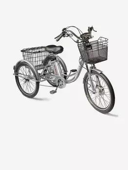 Трехколесный электровелосипед для взрослых Izh-Bike (Иж-Байк) Фермер 24", Серебряный