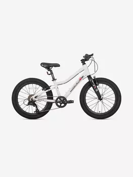 Велосипед детский Maxiscoo 3BIKE 20'' L, серый, 2025, Серый