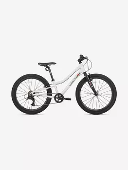 Велосипед детский Maxiscoo 3BIKE 24'' L, серый, 2025, Серый