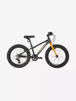 Велосипед Детский Maxiscoo 5BIKE 20'' M Черный Матовый (2024), Мультицвет