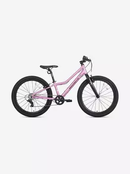 Велосипед детский Maxiscoo 5BIKE 24'' L200, розовый сапфир, 2025, Розовый