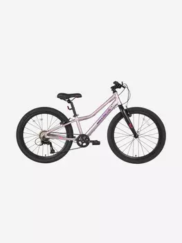 Велосипед Детский Maxiscoo 5BIKE 24'' L Розовый Сапфир (2024), Мультицвет