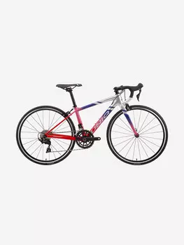 Велосипед детский шоссейный Uniq RС24 pandora, Мультицвет