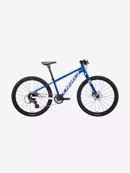 Велосипед детский Uniq RA24 2023 blue, Синий
