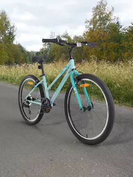 Велосипед для девочек Denton Shine 1.0 24" 2024, Голубой