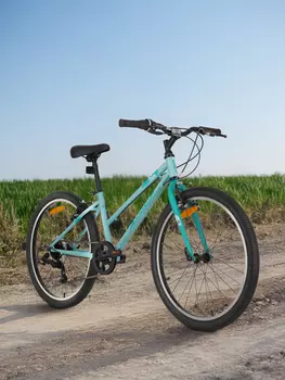 Велосипед для девочек Denton Shine 1.0 24", Голубой