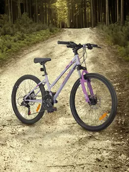 Велосипед для девочек Denton Shine 2.0 24" 2024, Фиолетовый