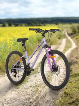 Велосипед для девочек Denton Shine 2.0 24", Фиолетовый