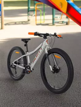 Велосипед для мальчиков Scott Roxter 24" 2024, Серый