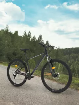 Велосипед горный Roces Ritmo 29", Черный