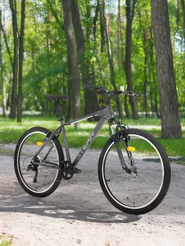 Велосипед горный Stern Energy 1.0 alt 26", Серый