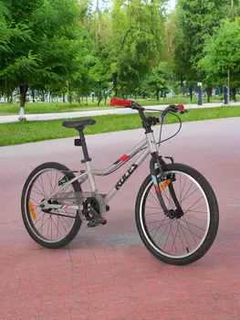 Велосипед подростковый Roces Amico 20", Серый