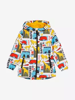 Ветровка PlayToday для мальчика, Мультицвет