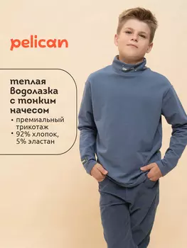 Водолазка для мальчиков Pelican, Синий