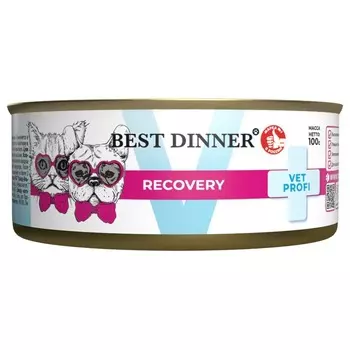 Best Dinner Vet Profi Recovery влажный корм для кошек и собак, в консервах - 100 г ветеринарный супер премиум для взрослых для всех пород консервы (в железной банке) Российский корм 1 уп. х 12 шт. х 1.2 кг