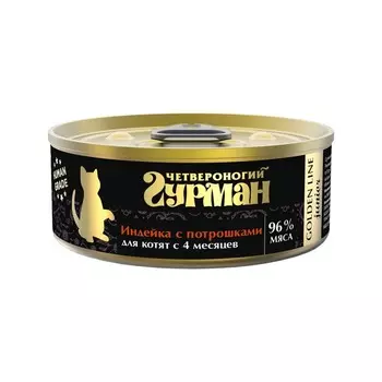 Четвероногий Гурман Golden line влажный корм для котят с 4 месяцев, с индейкой и потрошками, кусочки в желе, в консервах - 100 г повседневный супер премиум с индейкой консервы (в железной банке) Российский корм 1 уп. х 1 шт. х 0.1 кг