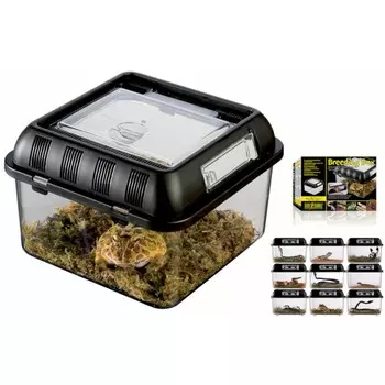 Exo Terra контейнер для разведения Breeding Box малый 205x205x140 мм (PT2270) Китай 1 уп. х 1 шт. х 0.477 кг