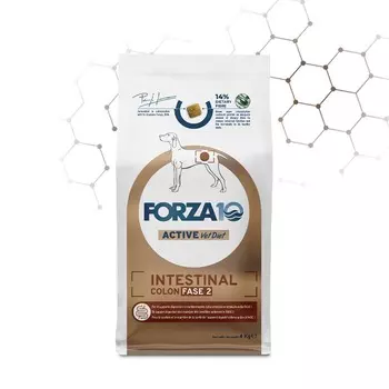 Forza10 Active Intestinal Colon Fase 2 сухой корм для взрослых собак, с хроническими колитами, с РЫБОЙ - 10 кг ветеринарный супер премиум монобелковый для взрослых с рыбой для всех пород мешок Импортный корм 1 уп. х 1 шт. х 10 кг