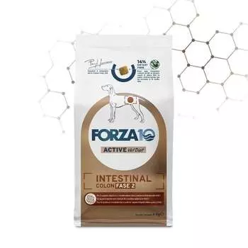 Forza10 Intestinal Colitis fase II сухой корм для собак, профилактика рецедивов колитов, с рыбой - 4 кг ветеринарный для взрослых с рыбой мешок Италия 1 уп. х 1 шт. х 4 кг