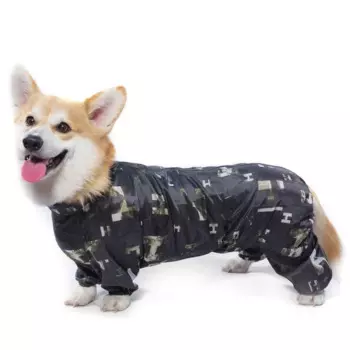 Gamma комбинезон демисезонный "Корги" - 49см Россия 1 уп. х 1 шт. х 0.187 кг