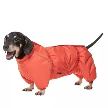 Gamma комбинезон зимний "Такса", терракотовый, размер S - 36см s Россия 1 уп. х 1 шт. х 0.147 кг