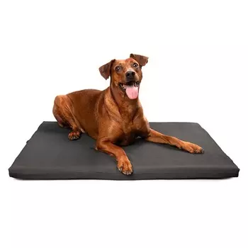 Gamma лежак для животных "Ладья", размер S - 790х600х40мм для всех пород Россия 1 уп. х 1 шт. х 0.53 кг