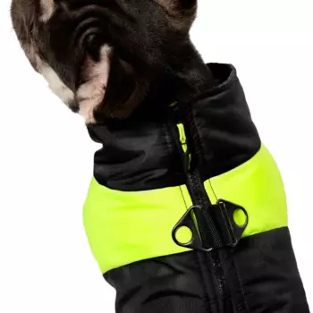 Gamma жилет "Неон", желтый, размер S, 22х32см s Россия 1 уп. х 1 шт. х 0.06 кг