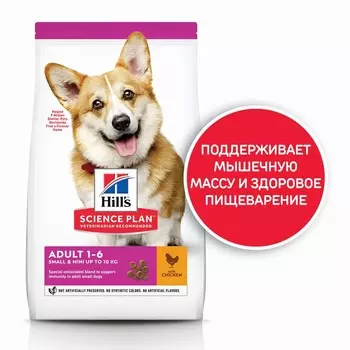 Hill's Science Plan Dog Adult Small & Miniature Chicken сухой корм для собак мелких и миниатюрных пород для поддержания здоровья кожи и шерсти, с курицей - 300 г повседневный супер премиум для взрослых с курицей породы мелкого размера мешок Чехия 1 уп. х 1 шт. х 0.3 кг